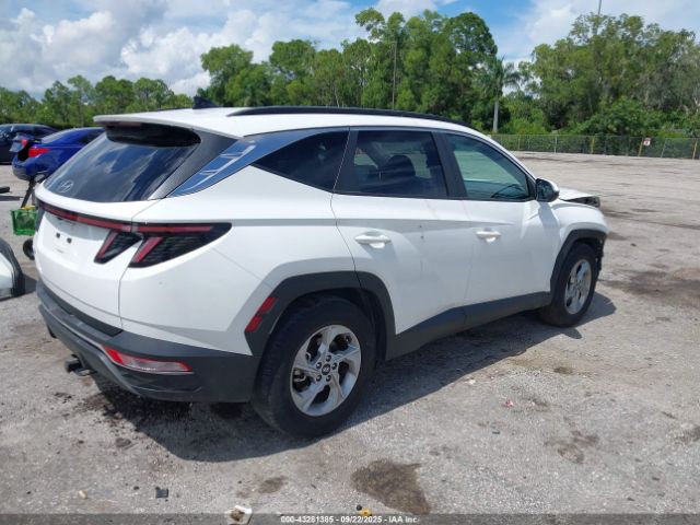 2023 HYUNDAI TUCSON 5NMJB3AE7PH285395 Photo 3