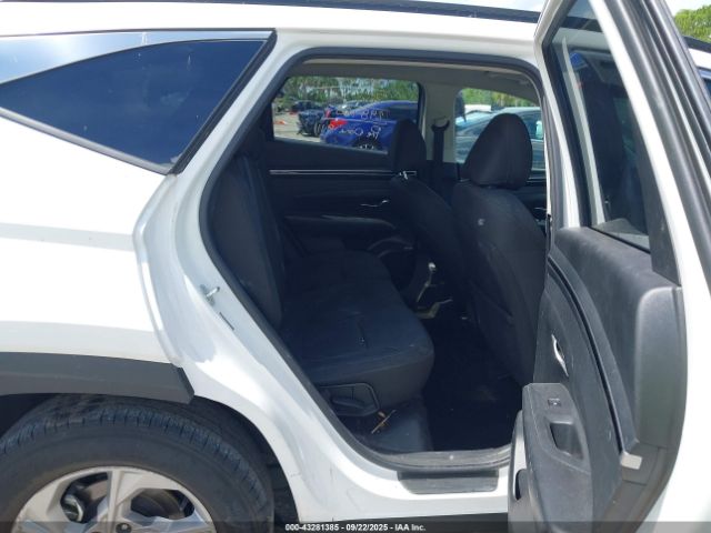 2023 HYUNDAI TUCSON 5NMJB3AE7PH285395 Photo 7