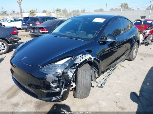 2023 TESLA MODEL Y 7SAYGDEE9PF741062 Photo 1