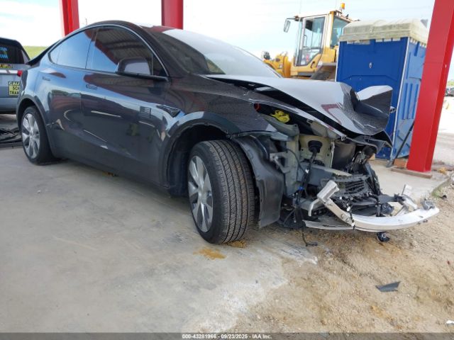 2024 TESLA MODEL Y 7SAYGDEDXRF094603 Photo 0