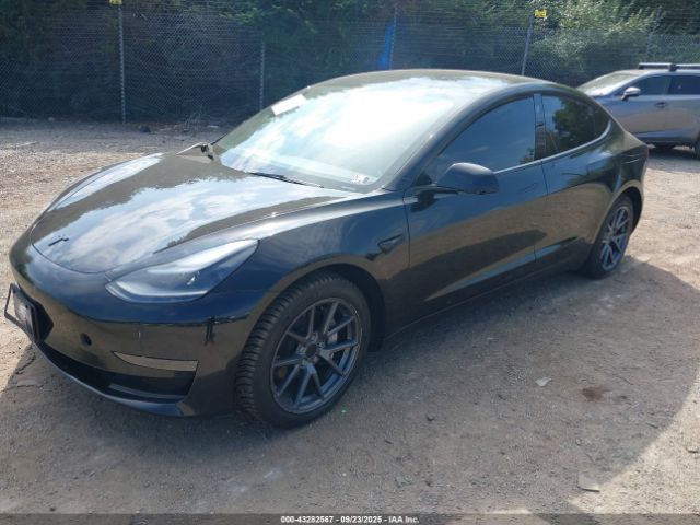 2023 TESLA MODEL 3 5YJ3E1EA0PF686834 Photo 1