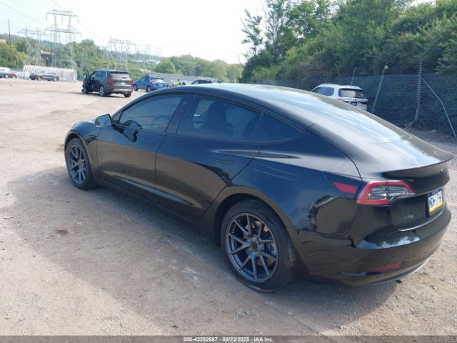 2023 TESLA MODEL 3 5YJ3E1EA0PF686834 Photo 2