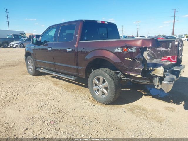 2019 FORD F-150 1FTEW1E41KKE37020 Photo 2