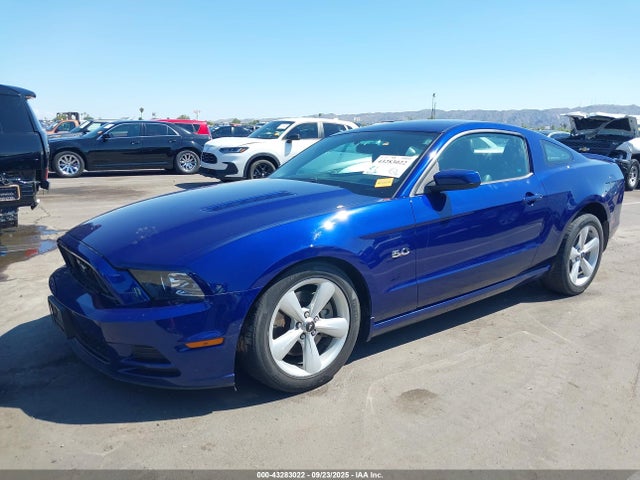 Ford Mustang 2014 1ZVBP8CF5E5200527 Image 2