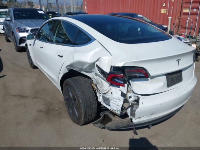 2019 TESLA MODEL 3 5YJ3E1EA6KF484251 Photo 2