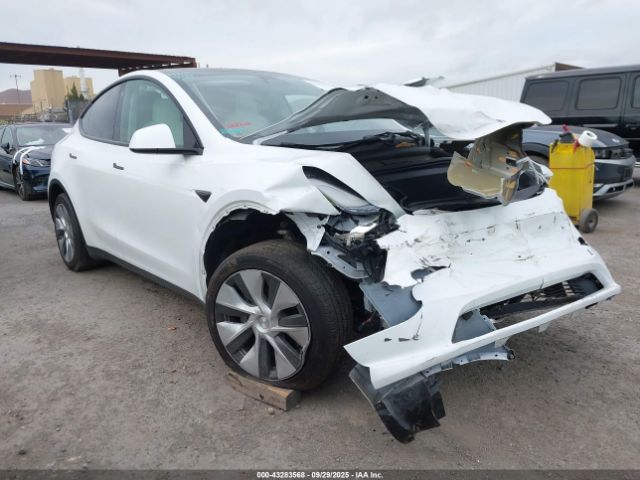 2023 TESLA MODEL Y 7SAYGDEE7PF633166 Photo 0