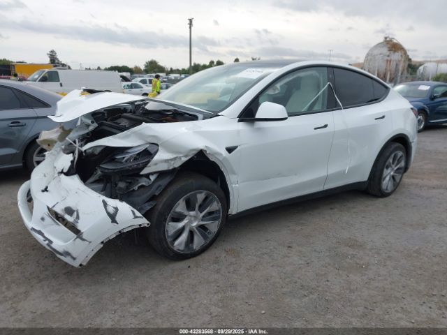 2023 TESLA MODEL Y 7SAYGDEE7PF633166 Photo 1