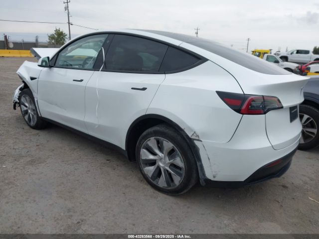 2023 TESLA MODEL Y 7SAYGDEE7PF633166 Photo 2