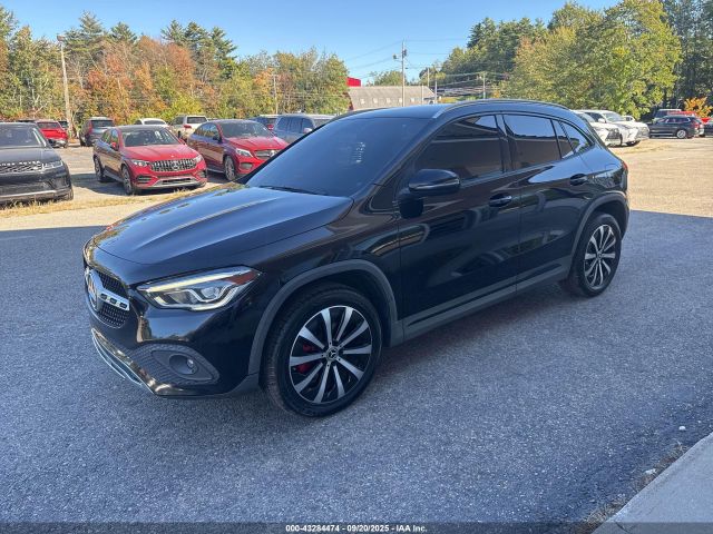 2021 MERCEDES-BENZ GLA W1N4N4GB8MJ196392 Photo 1