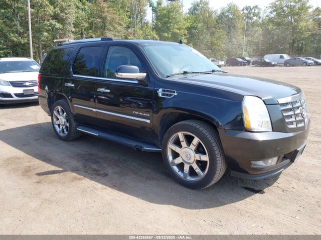 2013 CADILLAC ESCALADE 1GYS4BEF5DR118949 Photo 0