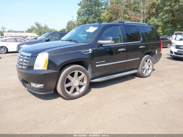 2013 CADILLAC ESCALADE 1GYS4BEF5DR118949 Photo 1
