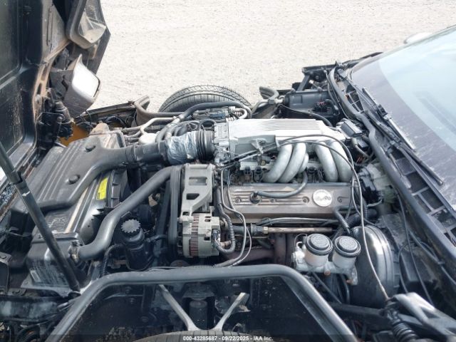 1988 CHEVROLET CORVETTE 1G1YY2187J5105482 Photo 9