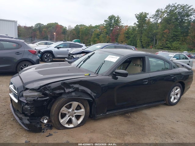 Dodge 2014 2014 2C3CDXBG3EH242972 Image 12