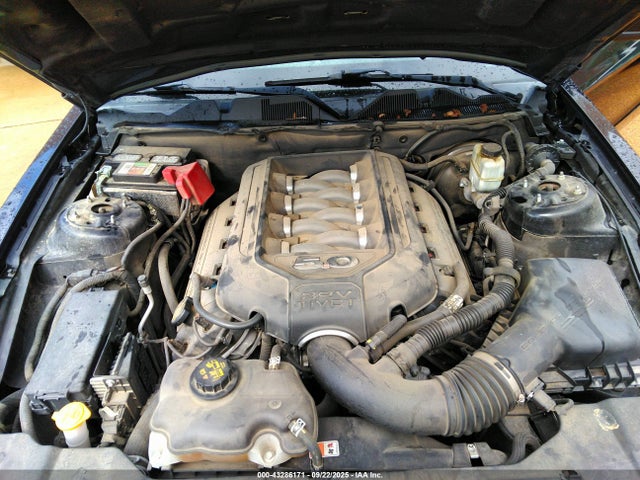 1ZVBP8CF6E5318702 Ford Mustang