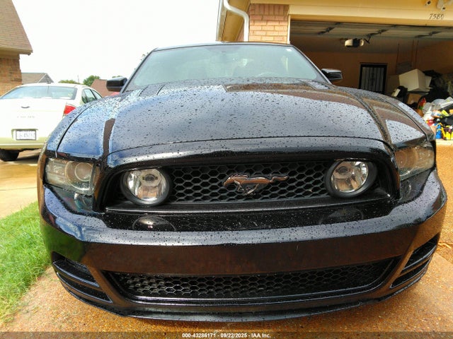 1ZVBP8CF6E5318702 Ford Mustang