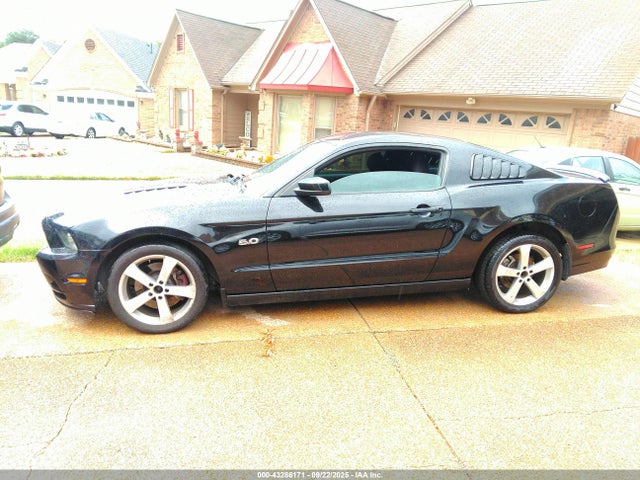 1ZVBP8CF6E5318702 Ford Mustang