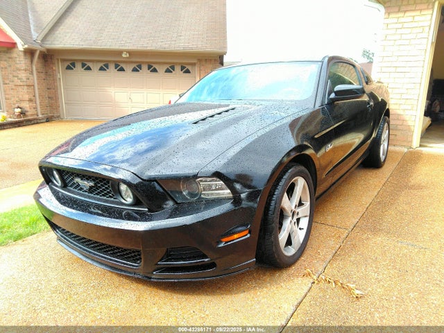 1ZVBP8CF6E5318702 Ford Mustang