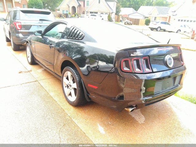 1ZVBP8CF6E5318702 Ford Mustang