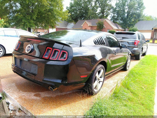 1ZVBP8CF6E5318702 Ford Mustang
