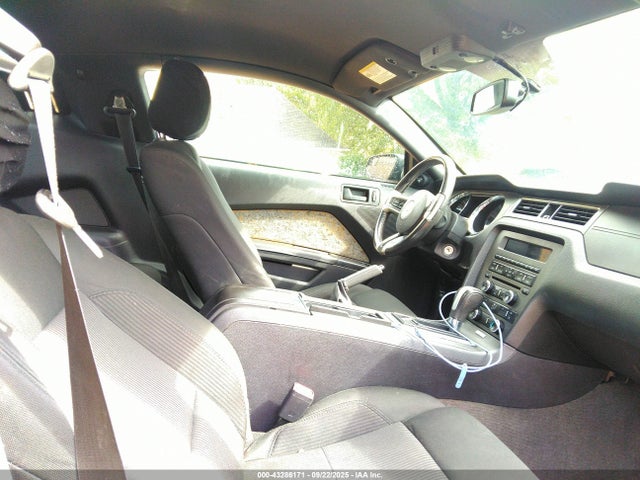 1ZVBP8CF6E5318702 Ford Mustang