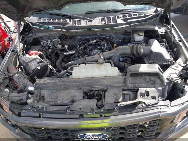 1FTEW2KP3RKF55469 Ford F-150 Stx