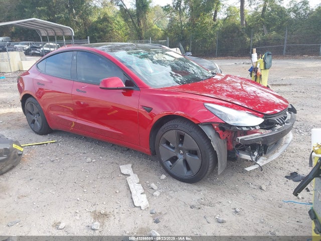 2021 TESLA MODEL 3 5YJ3E1EA9MF098264 Photo 0