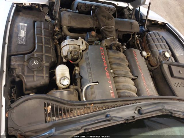 2002 CHEVROLET CORVETTE 1G1YY22G525100630 Photo 9