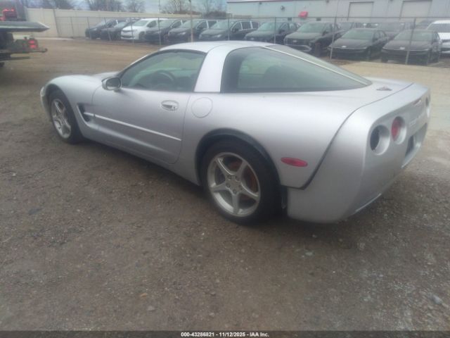 2002 CHEVROLET CORVETTE 1G1YY22G525100630 Photo 2