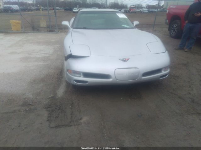 2002 CHEVROLET CORVETTE 1G1YY22G525100630 Photo 5