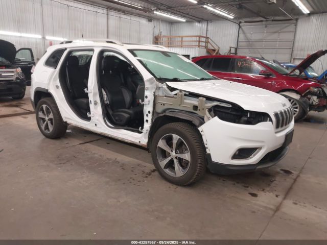 2019 JEEP CHEROKEE 1C4PJMDX8KD135457