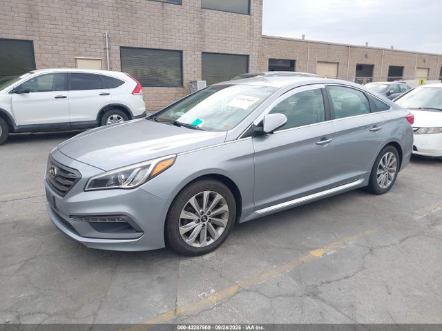 5NPE34AF8FH065908 Hyundai Sonata