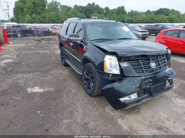 2011 CADILLAC ESCALADE 1GYS4BEF5BR121752