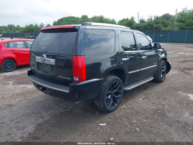 2011 CADILLAC ESCALADE 1GYS4BEF5BR121752 Photo 3