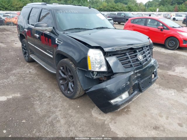 2011 CADILLAC ESCALADE 1GYS4BEF5BR121752 Photo 5