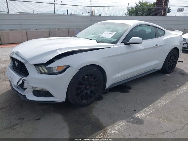 Ford 2015 2015 1FA6P8AM9F5372184 Image 2
