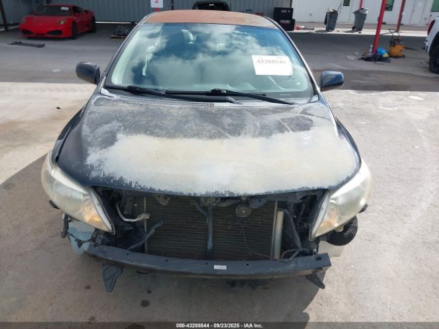 2009 TOYOTA COROLLA 1NXBU40E49Z109854 Photo 5