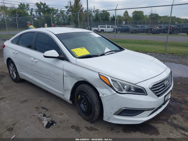 Продаж на аукціоні авто 2017 Hyundai Sonata, vin: 5NPE24AF5HH581648, номер лоту: 43288707