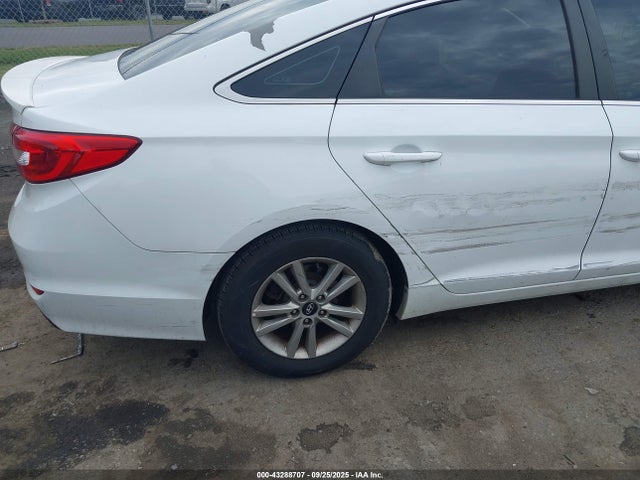 Продаж на аукціоні авто 2017 Hyundai Sonata, vin: 5NPE24AF5HH581648, номер лоту: 43288707
