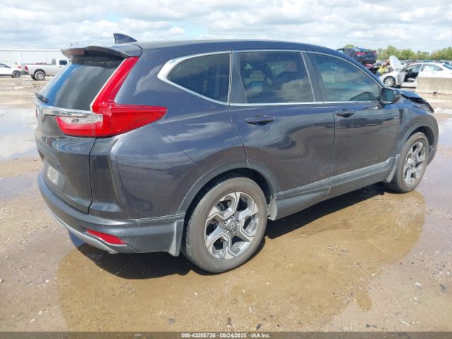 2019 HONDA CR-V 5J6RW1H83KA032292 Photo 3