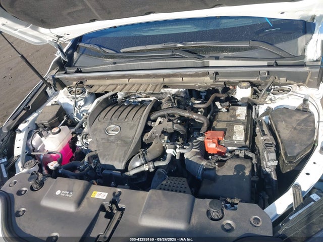 Lexus t24a-fts 2024 2T2KGCEZ5RC040893 Image 10