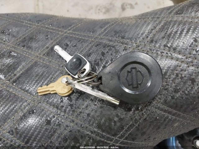 2021 HARLEY-DAVIDSON FXLRS 1HD1YWK19MB058364 Photo 10