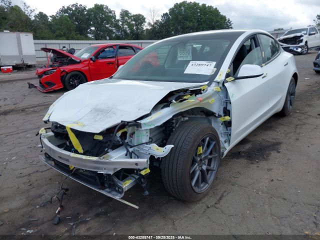 2023 TESLA MODEL 3 5YJ3E1EA3PF554067 Photo 1
