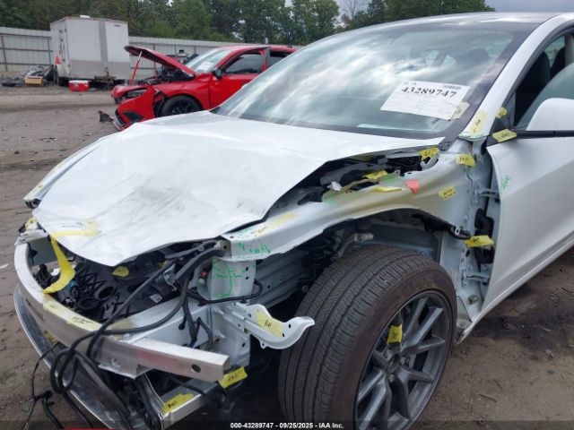 2023 TESLA MODEL 3 5YJ3E1EA3PF554067 Photo 5
