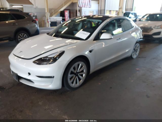 2021 TESLA MODEL 3 5YJ3E1EBXMF870666 Photo 1