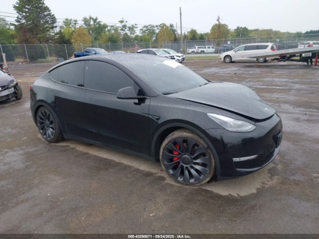 2023 TESLA MODEL Y 7SAYGDEF4PF913409 Photo 0