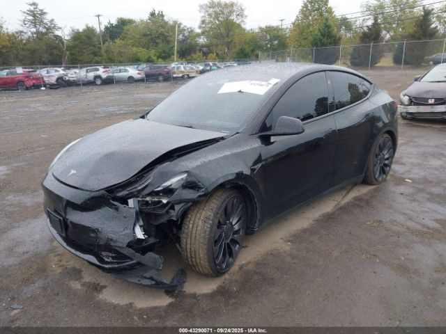 2023 TESLA MODEL Y 7SAYGDEF4PF913409 Photo 1