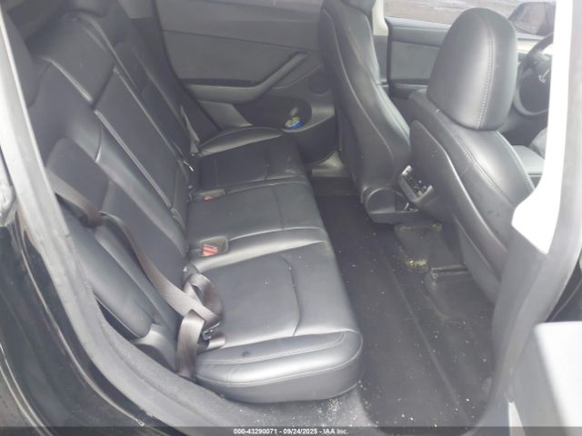 2023 TESLA MODEL Y 7SAYGDEF4PF913409 Photo 7