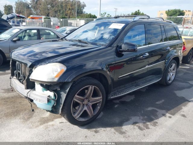 2011 MERCEDES-BENZ GL 550 4JGBF8GE3BA642826 Photo 1
