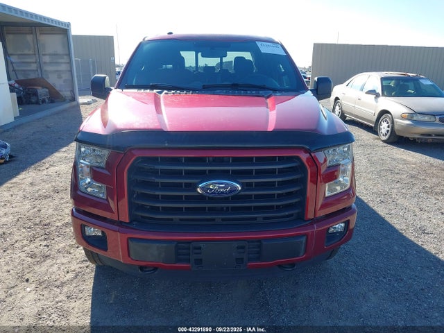 Ford F-150 2015 1FTEW1EF4FFC01946 Image 12