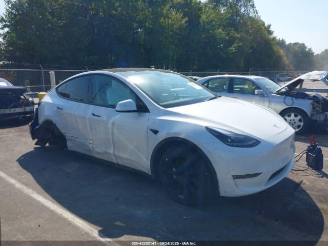 2023 TESLA MODEL Y 7SAYGDEE8PF633550 Photo 0